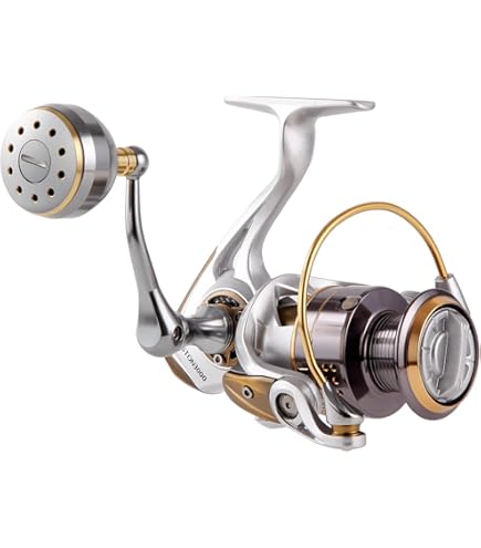 Amazon.com: Shimano Stradic 3000
