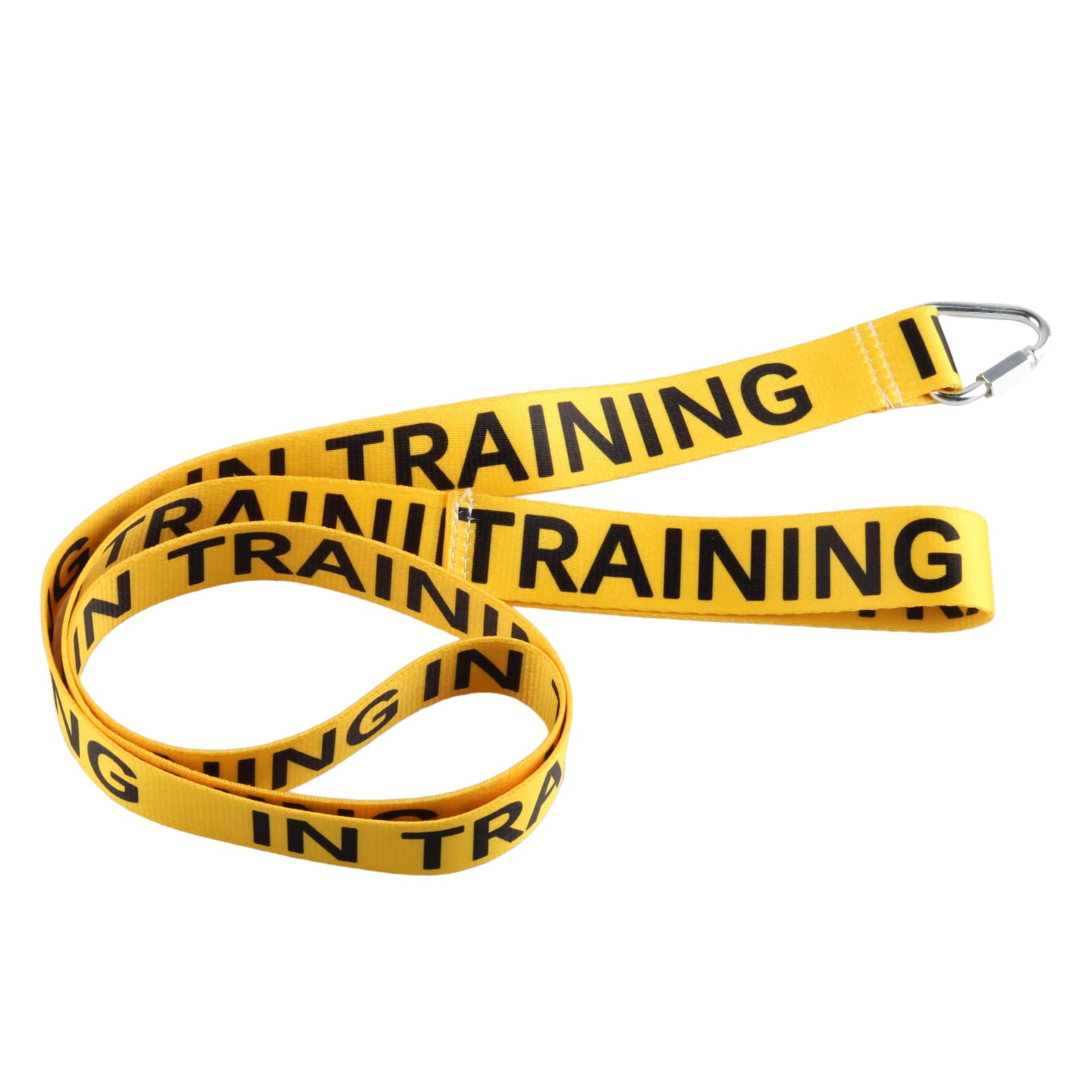 Nervous Dog In Training Dog Working Dog Lead Rescue Dogs Anxious Dogs Gift (IN- TRAINING)