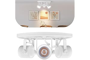 Arcfox 27W 3000K 3 Light LED Flush Mount Ceiling Spotlight Fixture Adjustable Round Track Lighting Fixtures Ceiling for Living Room Bedroom Shop Accent Task Lighting