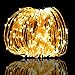 Weico LED String Lights 99ft 300 LEDs Dimmable with Remote Control, Copper Wire Starry Lights for DIY Bedroom, Patio, Garden, Gate, Yard, Party, Wedding (Warm White)