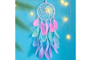 WOW DING Luminous Dream Catchers for Girls, Handmade Pink Feather Native Wall Decoration