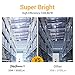 35W Daylight LED Corn Light Bulb for Indoor Outdoor Large Area - E26 3500Lm 6500K Cool White,for Street Lamp Post Lighting Garage Factory Warehouse High Bay Barn Porch Backyard Garden Super Bright