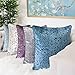 Homey COZY Modern Velvet Throw Pillow Cover (Plum)