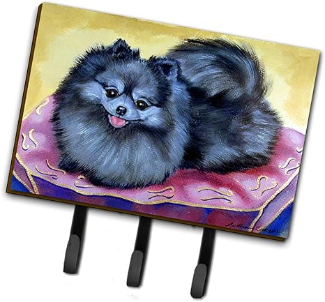 pomeranian leash