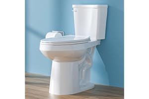 HOMLYLINK Elongated Tall Toilet 19 Inch, ADA High Toilets for Bathroom, Comfort Bowl Heigh 19", Single Flush 1.28 GPF, White, for Seniors, Handicapped, Tallor, Pregnant, Rehabilitation Patients