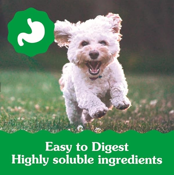 GREENIES DOG TREATS VETERINARIAN-RECOMMENDED NATURAL DENTAL PUPPY TREATS TEENIE SIZE, 12 OZ. PACK, 43 COUNT
