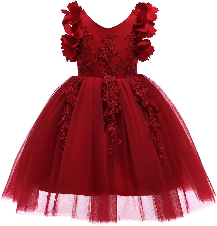 Flower Girl Lace Dress Pageant Kids Wedding Christmas Holiday Party Dresses