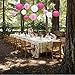 Sonnis Paper Lanterns 12