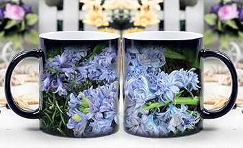 Resultado de imagen para el cafe de la primavera