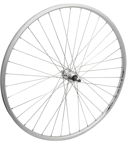 Amazon.com : WheelMaster Weinmann LP18 Rear Wheel - 700c, 36H