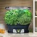 AeroGarden Extra (LED) with Gourmet Herb Seed Pod Kit