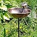 Achla Designs HBB-01 Heart Shaped Copper Metal birdbath Bowl, Solid Brass