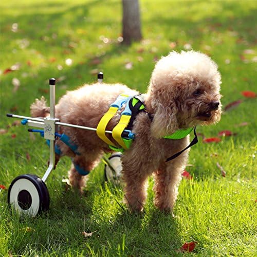 Adjustable Dog Wheelchair for Extra Small Dog(XXS) , Hip Height: 8"--11", Weight 3 to 5 lbs, hind legs Rehabilitation, light weight