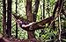 ENO Eagles Nest Outfitters - CamoNest XL Hammock, Portable Hammock for Two, Forest Camo