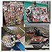 STICON 100 Pieces Vinyl Waterproof Stickers for Car, Laptop, Luggage, Skateboard, Motorcycle, Bicycle Decal Graffiti Patches (Series A)