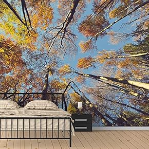 Wall Murals for Bedroom Dreamwork Beautiful Removable Wallpaper Peel and Stick Wall Stickers - 66x96 inches