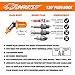 1PZ BB3-OW1 Performance Ignition Coil Plug Replacement for Yamaha Blaster Yfs200 YFS 200 1988 1989 1990 1991 1992 1993 1994 1995 1996 1997 1998 1999 2000 2001 2002 2003 2004 2005 2006 NEW