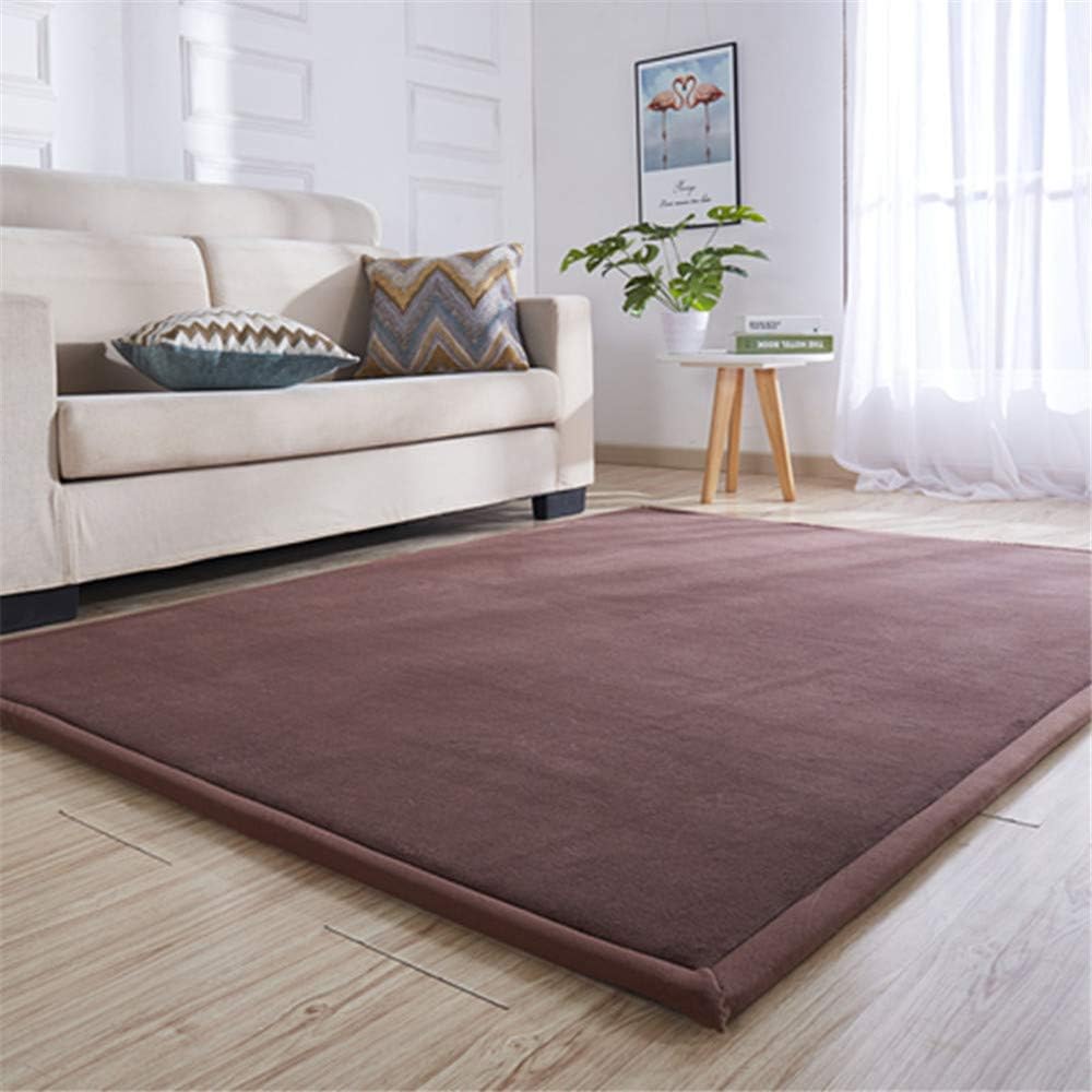 Sarah Duke Coral Velvet Tatami Tapis De Jeu Pour Enfant Epais Tapis De Jeu Doux Tapis De Protection Tapis Deveil Pour Salon 80x0cm 31 5x78 7in Chambre De Bebe Beige Tapis Ameublement Et Decoration Lawawarenesssociety In