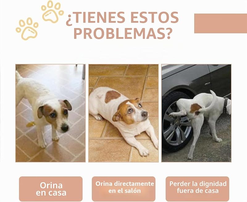 Spray de defecação para treino, para necessidades de animais, ajuda para treino de animais, indutor de defecação para várias raças