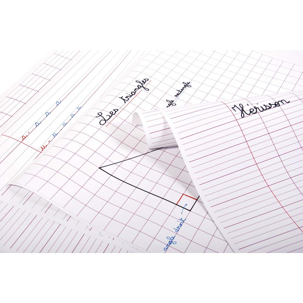 Clairefontaine 383502C - A pack of 25 sheets of ruled poster paper 60x80 cm 90g, Large squares, Display, Decoration Studying Schools Children and Adults