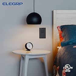 ELEGRP Single Pole Decorator Light