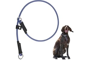 DISCPETSEC Slip Collar for Dog Show and Training - 22'' Lightweight Adjustable Waterproof PVC No Pull Blue Collar With Lead