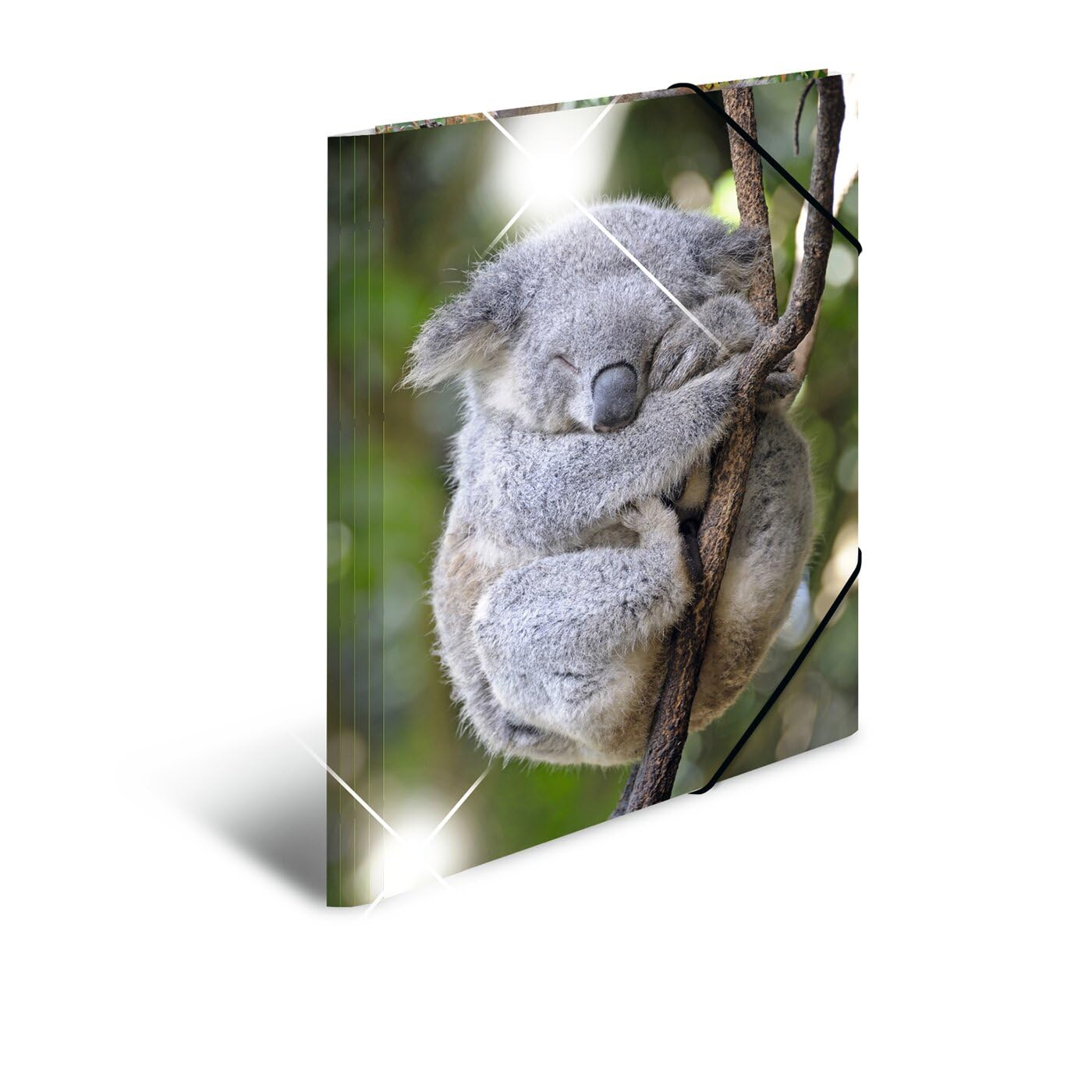 HERMA Elastic Folder Animals with Koala Motif, A3, Glossy Plastic, with Inner Print, 1 Span Folder