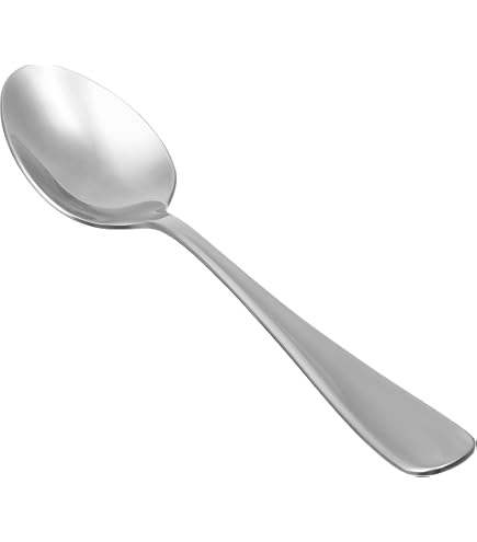 Lot De 12 Cuillères à Dessert Obston En Inox - 16,5 Cm - Design Simple Et Robuste