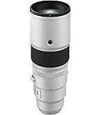 Amazon.com : Fujifilm Fujinon XF150-600mmF5.6-8 R LM OIS WR Lens