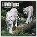 2017 Monthly Wall Calendar - White Tigers