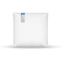memory foam throw pillow insert