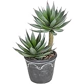 Hollyone Large Artificial Succulent Plants Fake Agave Succulents Potted 13" Faux Plant in Vintage Cement Pot Succulent Aloe Plant Indoor for Desk Home Office Living Room Table Shelf Decor