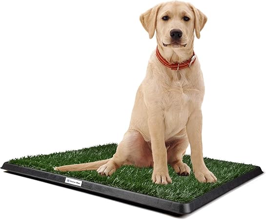 dog bathroom mat