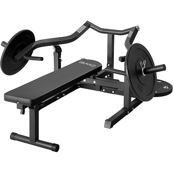Bench Shoulder Press Machine Planet Fitness Lateral Raise