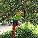 Hanging Parrot Statue Sculpture On Metal Round Ring Decor for Patio Garden Lawn and Nature Lovers Tropical Bird Collectors by Gifts