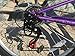 COLUMBA 26 inch 18 Speed Folding Bike (Purple)