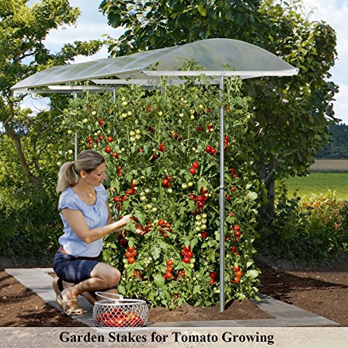 Growsun 5-Ft Garden Stakes Metal Plastic Coated Plant Cage Supports Climbing for Tomatoes,Trees,Cucumber,Fences,Beans,25 Pack