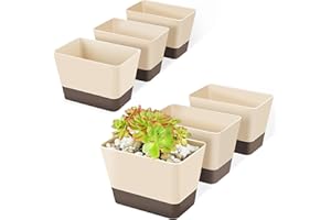 GREANER Indoor Planter Pots with Drainage, 6 Pack 6x3.8 Inch Herb Window Boxes with Saucer, Modern Plastic Plant Flower Succulent Cactus Pots for Windowsill, Garden Balcony, Home Office Outdoor Decor