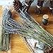 Lavender Bundles- with 200 PCS Lavender Buds- Wedding Decoration, House Decoration, Unique Present - 100 Percent Pure Dried Lavender …