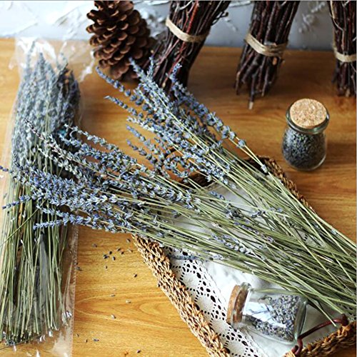 image for Lna Aoht Lavender Bundles- with 200 PCS Lavender Buds - Air Natural Fr