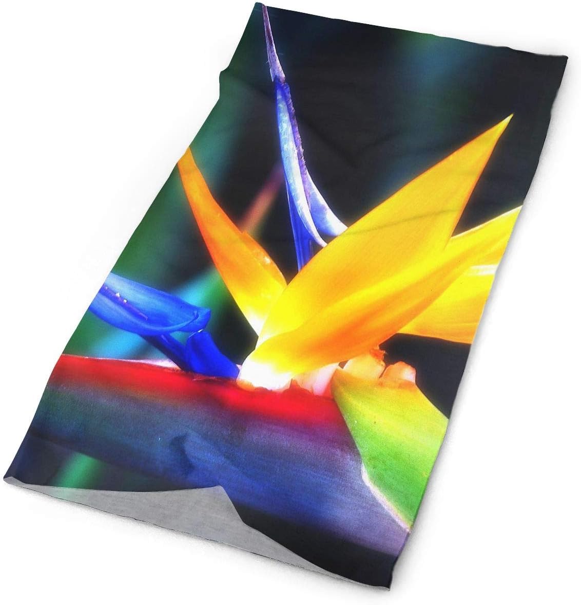 Bird of Paradise Face Mask Bandanas Dust Mask Headscarf for Outdoor Cycling Running Motorcycling White