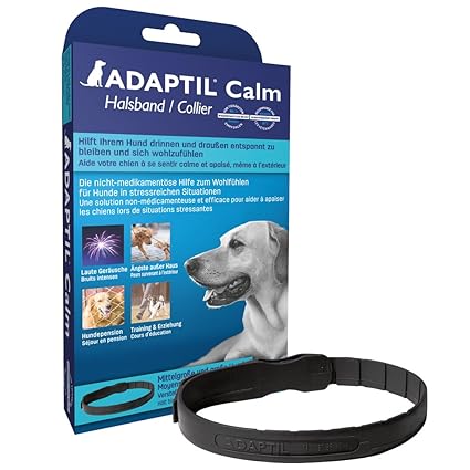 settled dogs collars clonazepam dog for