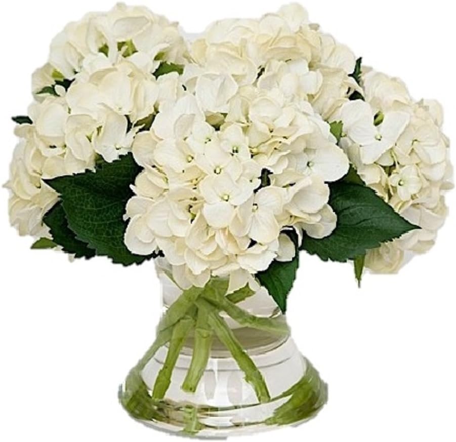 The French Bee Watergarden Collection Small 3 Stem Silk Cream Hydrangea in A Flared Glass Vase