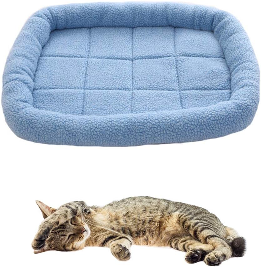 cama para perro mediano