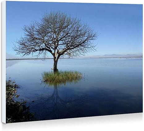 Amazon Co Jp 孤独な木 湖 青 壁の絵 壁掛け ソファの背景絵画 壁アート写真の装飾画の壁画 旅行 風景 景色 60cmx40cm ホーム キッチン Amazon Co Jp 孤独な木 湖 青 壁の絵 壁掛け ソファの背景絵画 壁アート写真の装飾画の壁画 旅行 風景 景色 60cmx40cm ホーム キッチン