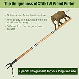 Stanew Long Handle Weed Puller Tool, 4 Claw Telescopic Weeder view 5