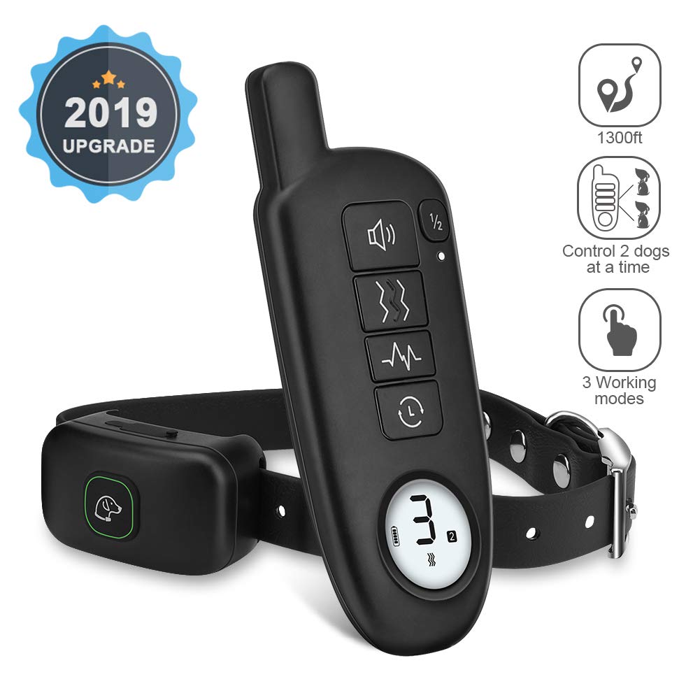 big dog training collar