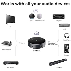 WiiM Mini AirPlay 2 Wireless Audio