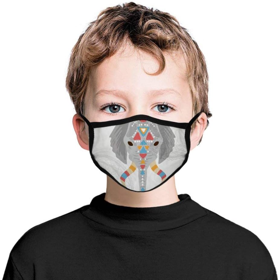 Promini Face Mask Washable for Kids Protective Mask Reusable Nationalwindelephant Color Mouth Mask With Spandex Comfortable Dust Mask for Children