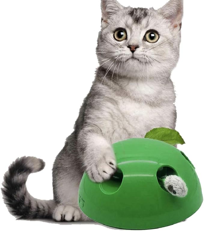 zihui Self Playing Cat Toy N Play Cat Toy Cat Interactive Automatic